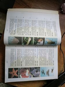 Invertebrate Zoology By EL JORDAN AND PS VERMA