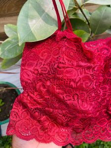 Elegant Red Lace Bralette