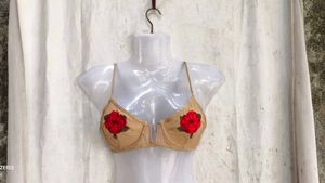 489. Sexy nude bra