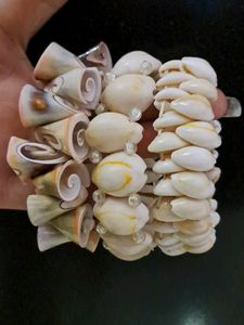 Set Of Three Original Shell Bracelet