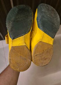 Vibrant Yellow Nike LeBron Sneakers