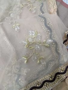 Eleganct lahanga choli