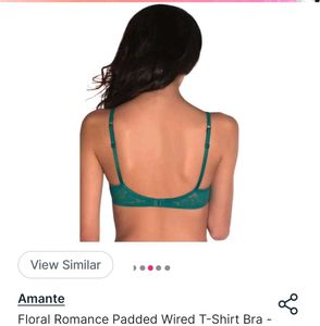 Amante Padded Bra