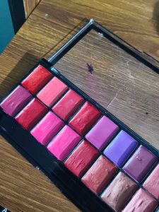 16 Color Professional Mars Lipstick Palette