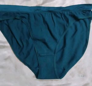 Comfortable Teal Briefs