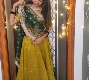 Beautiful Lehenga Choli Set