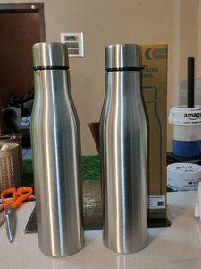Stainless Steel Water Bottles (Set of 2)