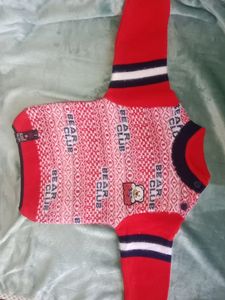 Cute Bear Club Knit Sweater