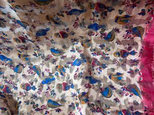 Cotton Patola Saree