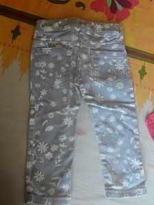 Striped Floral Pants