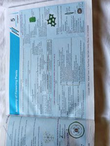 Botany NCERT Maps for NEET