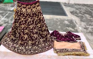 Elegant Embroidered Lehenga Choli Set
