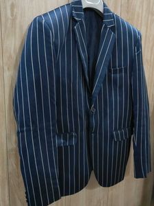 Men's Striped Navy Blazer