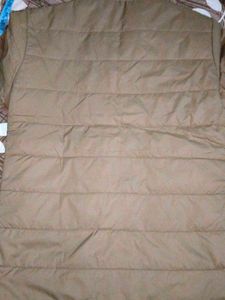 Brown Padded Casual Jacket