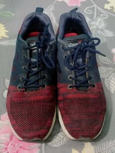 Campus Sports Shoes
