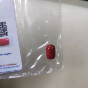 3.90 CTS Red Italian Original Capsule Moonga Coral