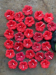 4 Hibiscus Flower Scented Candles