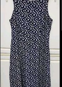 Navy & White Sleeveless Dress