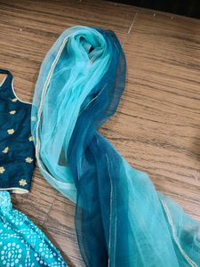 Beautiful Blue Ombre Lehenga Choli Set