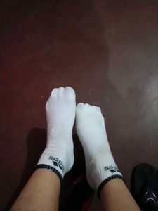 🎀Cute Pink Floral Socks for women 🎀