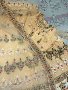 Beautiful Embroidered Peach Lehenga