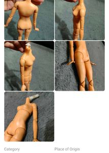 combo of dolls body