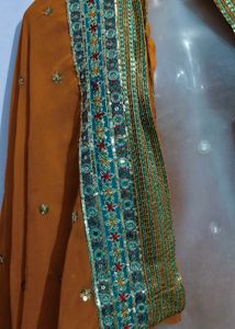 Orange saree with Sequins