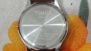 Timex Classic Watch