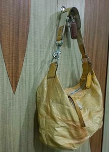 Coach Hobo Bag