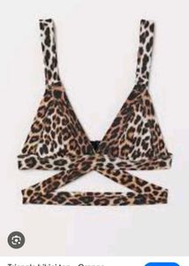 Leopard Print Bikini Set