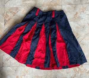 Fancy Skirt