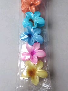 Cute Flower Hair Clips (Set of 6)