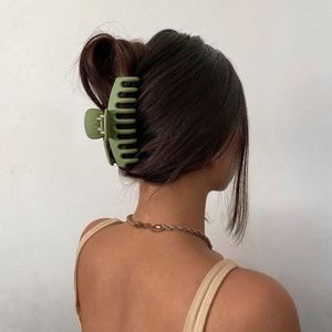 Hair Claws (Pack Of 2)