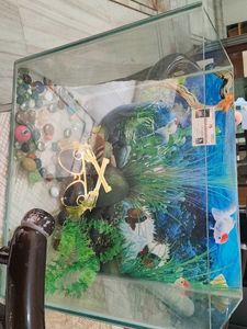 Glass Aquarium With Ornaments