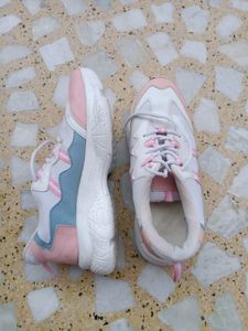Shoes (41) (10.5)