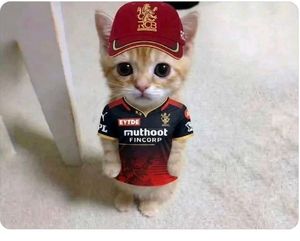 RCB 2026 HOME KIT VIRAT POLO EMBROIDERY PREMIUM