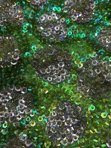 Sparkling Green Sequin top