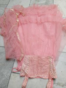 Stunning Peach Lehenga Choli
