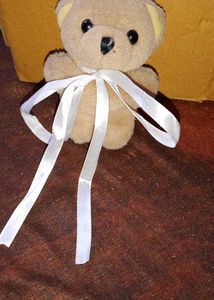 Cute Plush Teddy Bear