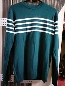 Men's Green Striped Sweater