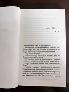 Ugly Love By Colleen Hoover