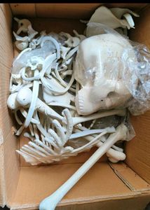 Skeleton System Made Of Synthetic Material