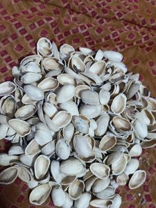 Pista Shell For Art And Craft
