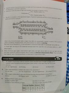 NEET UG Class 11 Biology Books Set
