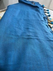 Shimmering Striped Saree