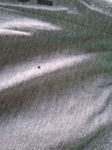 Casual Grey Joggers