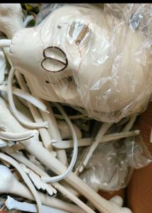 Skeleton System Made Of Synthetic Material