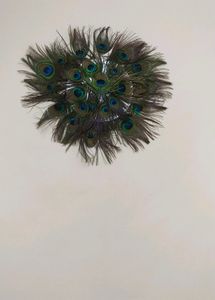 Wall Decorating Peace With Peacock Feather