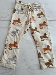 Cute Cat Print Jogging Suit