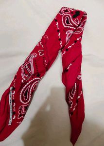 ✨Red Paisley Bandana🧣✨No Swap